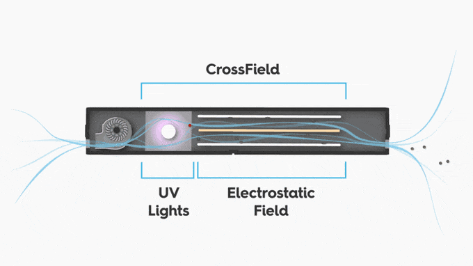 CrossField Animation